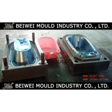 Injection Plastic Bathtub Mould